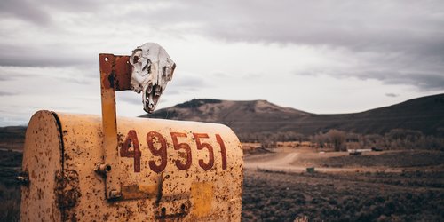 pexels-zachary-debottis-1816230